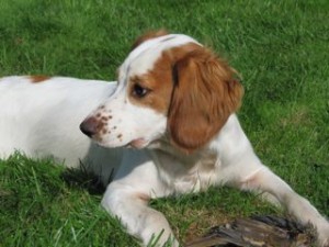Abi in sun at 6 months